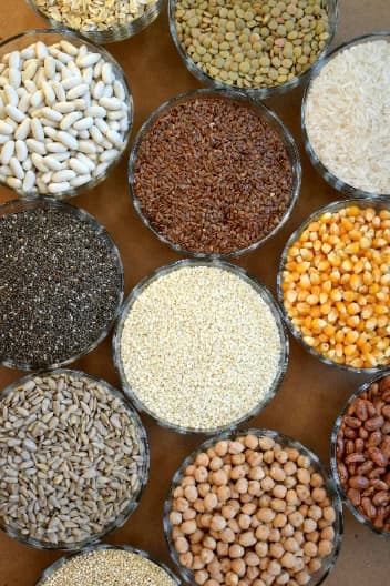 Cleaned sesame seeds and bulk grains prepared for bagging